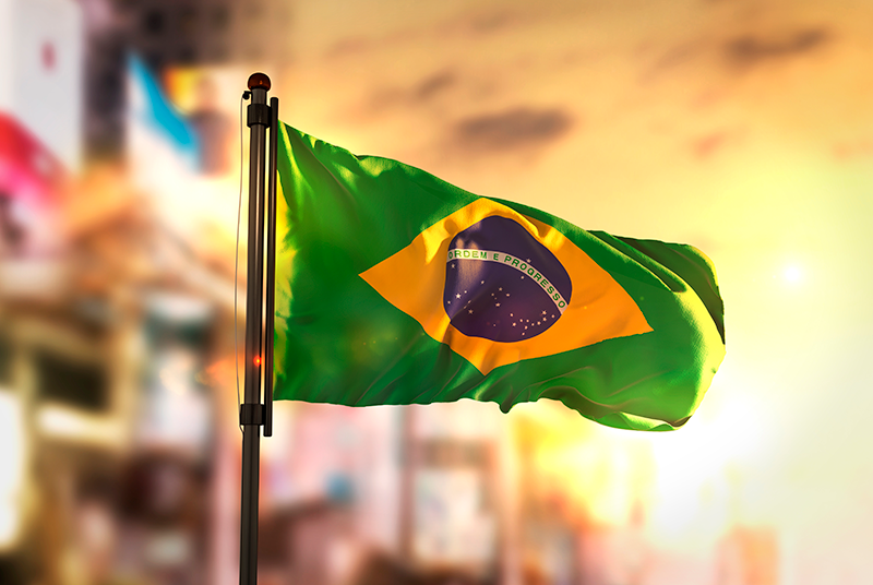  Signus, orgulho de ser brasileira